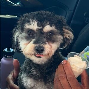 Meet your Posher, Linda